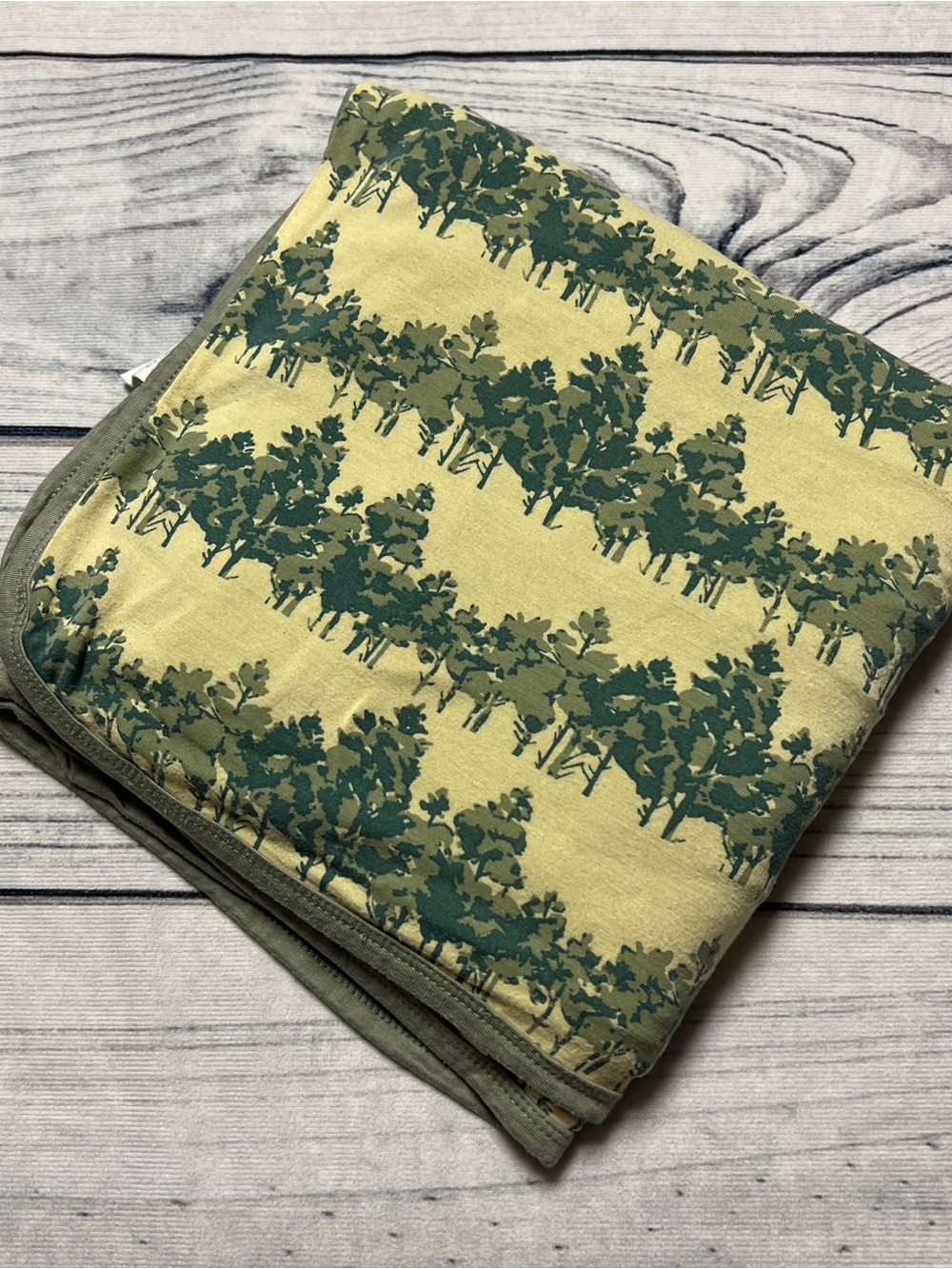 Kate Quinn Bamboo Watercolor Pine Double Layer Blanket